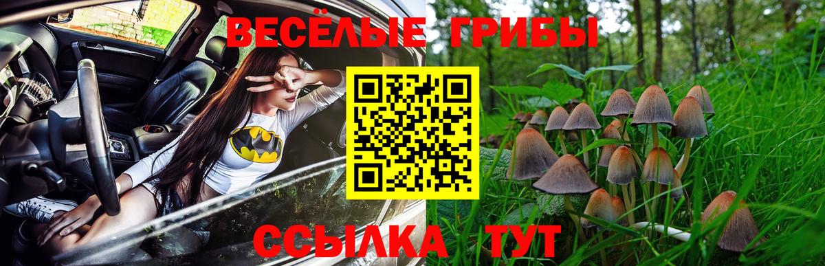 Галлюциногенные грибы Psilocybe Жуковский