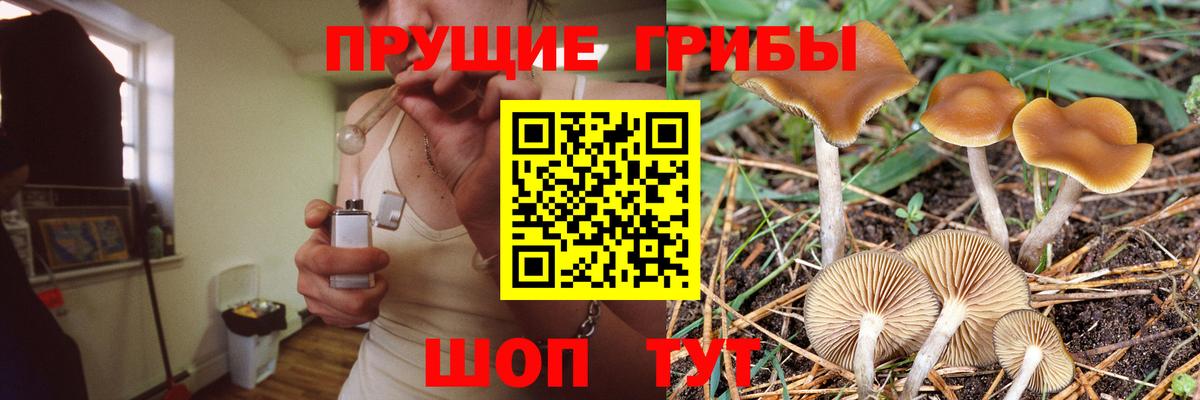 Галлюциногенные грибы ЛСД  Вход с VPN  Галлюциногенные грибы Psilocybe  Жуковский 